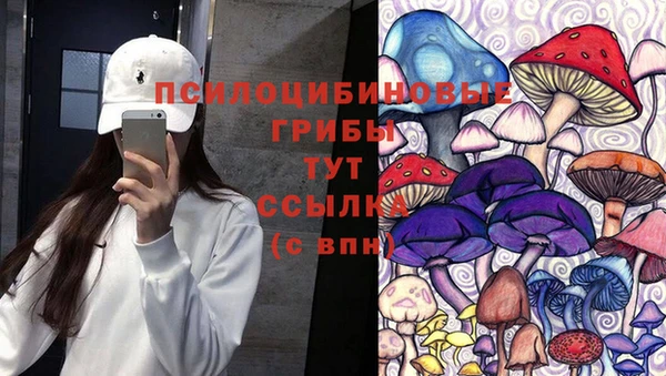ECSTASY Алзамай