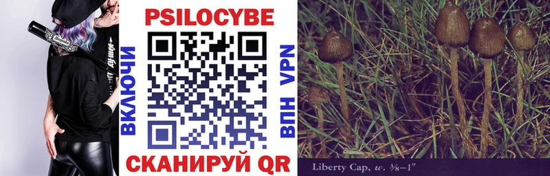 купить закладку  Лесосибирск  Галлюциногенные грибы Psilocybine cubensis 
