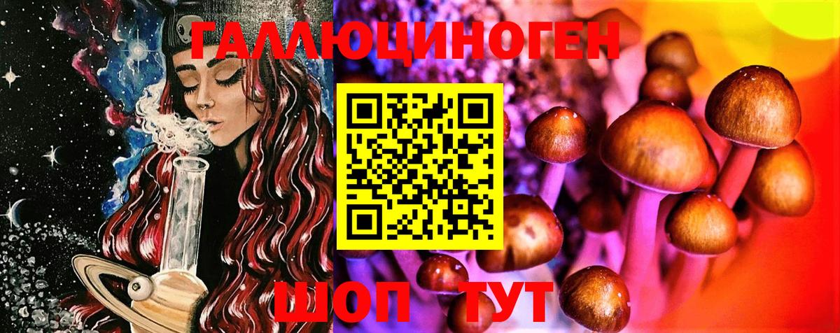 дарнет шоп  Лесосибирск  Галлюциногенные грибы мухоморы 