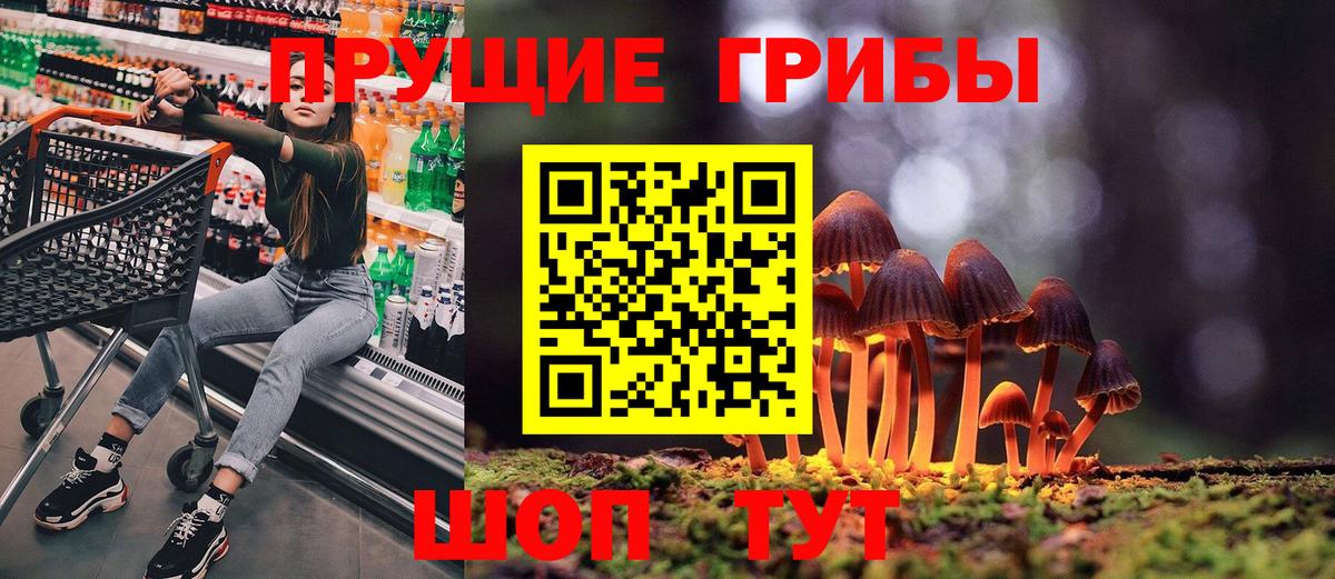 Галлюциногенные грибы GOLDEN TEACHER Лесосибирск