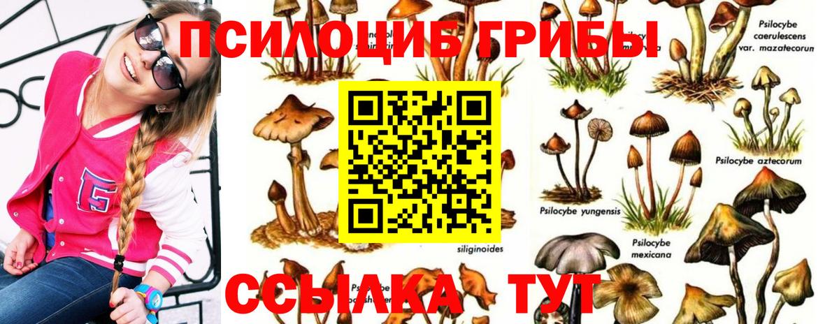 Лесосибирск  Галлюциногенные грибы MAGIC MUSHROOMS  Вход с VPN  Псилоцибиновые грибы мицелий 