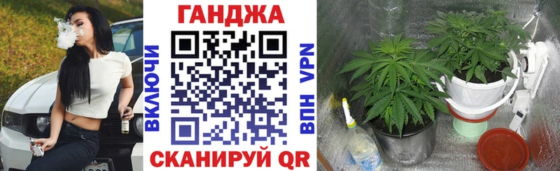 omg зеркало  Лесосибирск  Марихуана гибрид 