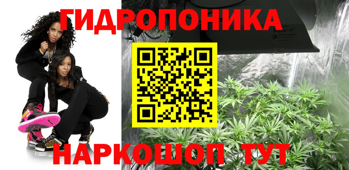 Конопля MAZAR Лесосибирск